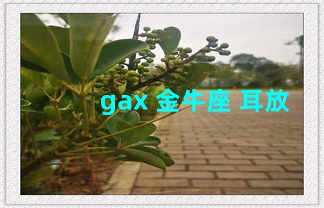 gax 金牛座 耳放